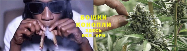 гидропоника Балахна